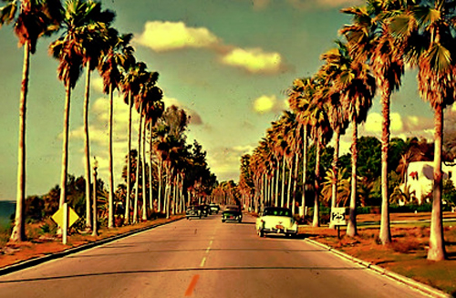 Contact our California Office